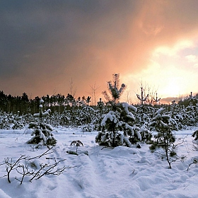 красивое завершение морозного дня | Фотограф Владислав Рогалев | foto.by фото.бай