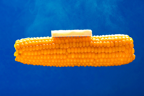 Фотограф Николай Сержанин, фотография добавлена 07.10.2019