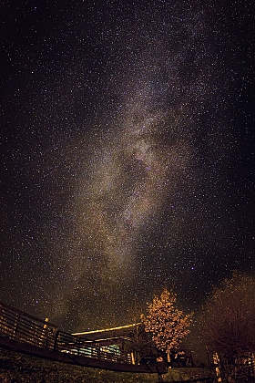 Milky Way | Фотограф Катерина Шкрабо | foto.by фото.бай