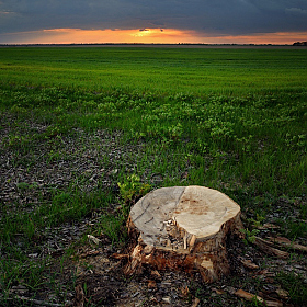 закат | Фотограф Николай Никитин | foto.by фото.бай