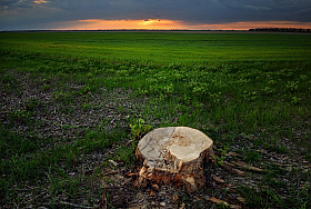 закат | Фотограф Николай Никитин | foto.by фото.бай
