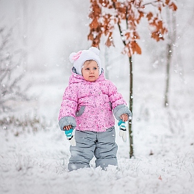 фотограф Юлия Зубкова. Фотография "Первый снег"