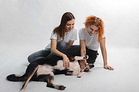 Работа фотографа Надежда Володько