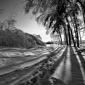 Просто зима | Фотограф Стас Аврамчик | foto.by фото.бай
