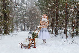 Зимняя сказка | Фотограф Надежда Городецкая | foto.by фото.бай