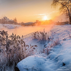 Морозное утро | Фотограф Александр Тарасевич | foto.by фото.бай
