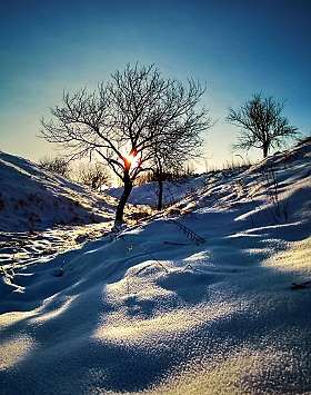 Зима для двоих | Фотограф Anton mrSpoke | foto.by фото.бай