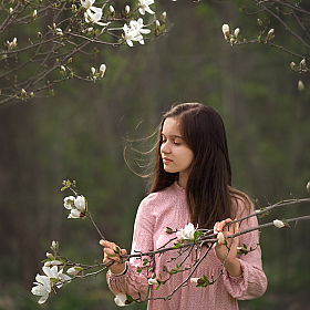 Magnolia | Фотограф Светлана Наумова | foto.by фото.бай