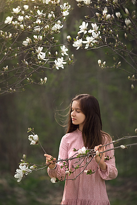 Magnolia | Фотограф Светлана Наумова | foto.by фото.бай
