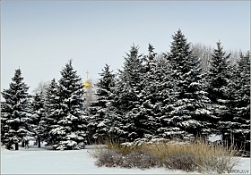 зима | Фотограф Игорь Сафонов | foto.by фото.бай