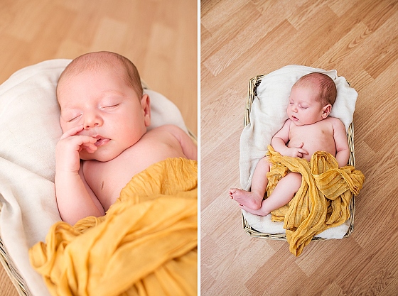 Любовь Чистая - фотограф, фотография добавлена 16.12.2014