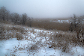Туман. | Фотограф Сергей Лысенко | foto.by фото.бай