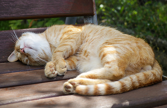 Фотограф Алексей Климков, фотография добавлена 06.11.2025