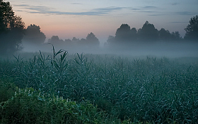 Перед восходом | Фотограф Александр Шатохин | foto.by фото.бай