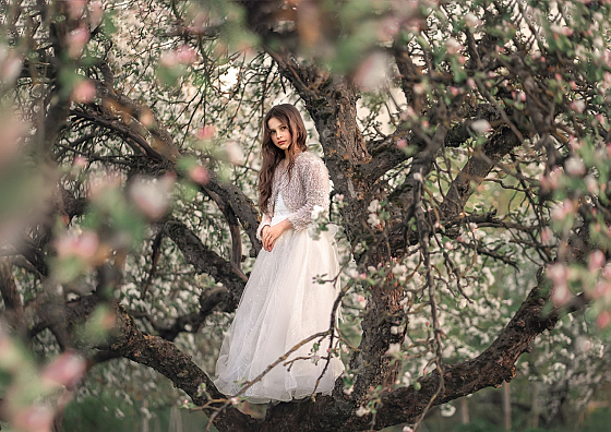 Алена Кисель - фотограф в городе Минск, фотография добавлена 19.09.2020