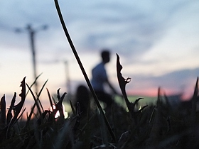 Трава | Фотограф Андрей Яковлев | foto.by фото.бай