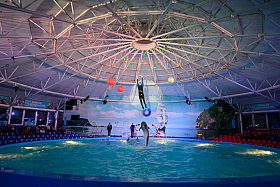 Работа фотографа Сергей Тарасов