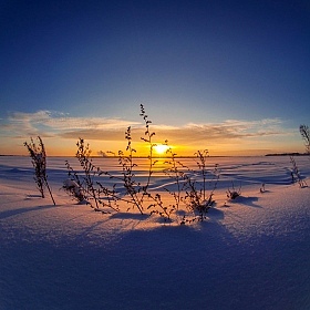 Морозный закат | Фотограф Сергей Ласута | foto.by фото.бай