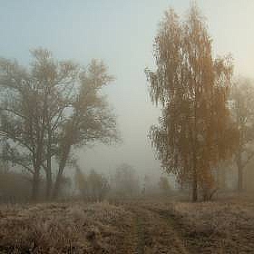 фотограф Виктор Позняков. Фотография "Осень"