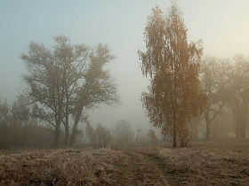 Осень | Фотограф Виктор Позняков | foto.by фото.бай