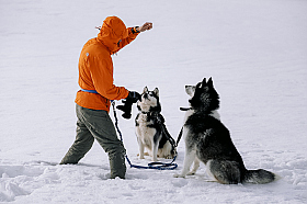 Работа фотографа Дмитрий Гусалов