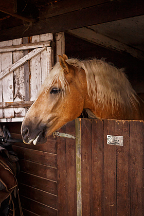 Работа фотографа Екатерина Суслова