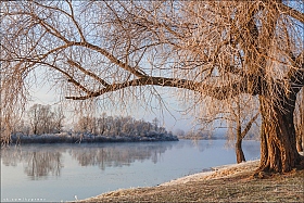 Свежесть Утра | Фотограф Юрий Купреев | foto.by фото.бай