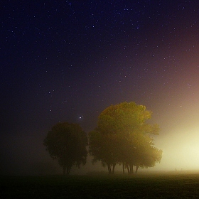 "Ёжики" в тумане | Фотограф Сергей Шляга | foto.by фото.бай