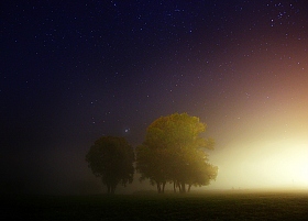 "Ёжики" в тумане | Фотограф Сергей Шляга | foto.by фото.бай