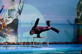 Работа фотографа Сергей Тарасов