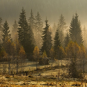 фотограф Михаил Глаголев. Фотография "Осенний стелется туман..."