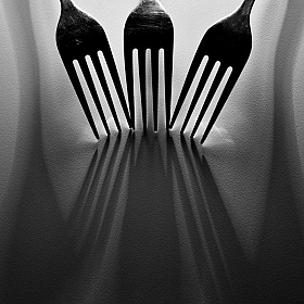 фотограф Альберт Салахов. Фотография "forks"