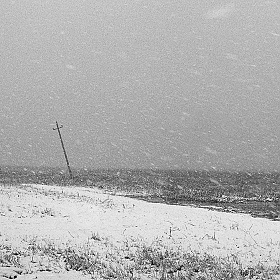 Апрельский снегопад | Фотограф Сергей Михайлов | foto.by фото.бай