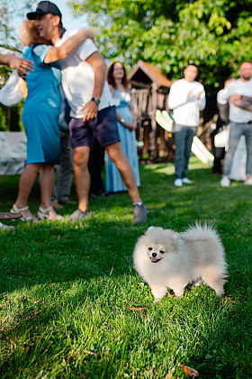 Работа фотографа Анна Крохмалюк
