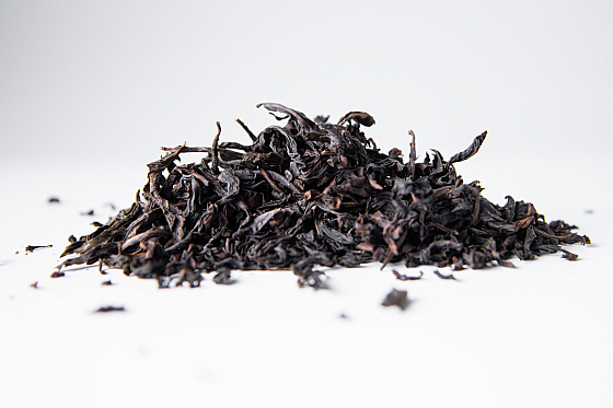 Фотограф Жасмина Германова, фотография добавлена 25.10.2025