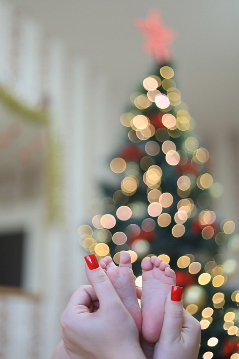 Фотограф Алексей Климков, фотография добавлена 25.12.2025