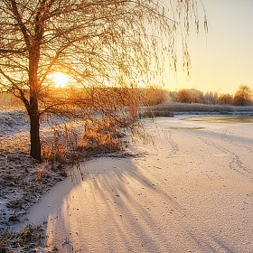 фотограф Дима Карабинов. Фотография "Зима в атмосферном парке"