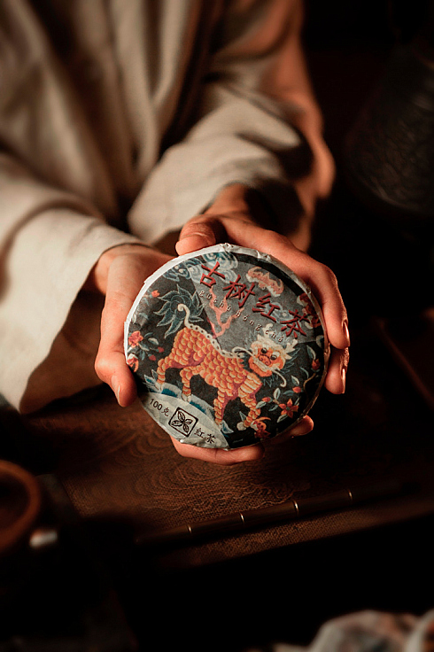 Фотограф Жасмина Германова, фотография добавлена 25.10.2025