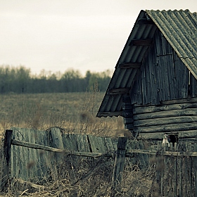 фотограф Павел Помолейко. Фотография "Белорусские деревни. Фото # 01"