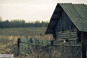 Белорусские деревни. Фото # 01 | Фотограф Павел Помолейко | foto.by фото.бай