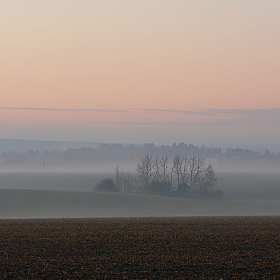 Тихое утро | Фотограф Сергей Тарасюк | foto.by фото.бай