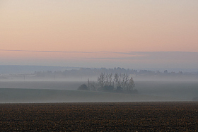 Тихое утро | Фотограф Сергей Тарасюк | foto.by фото.бай