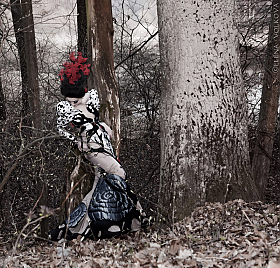 Into the trees | Фотограф Елена Волкова | foto.by фото.бай