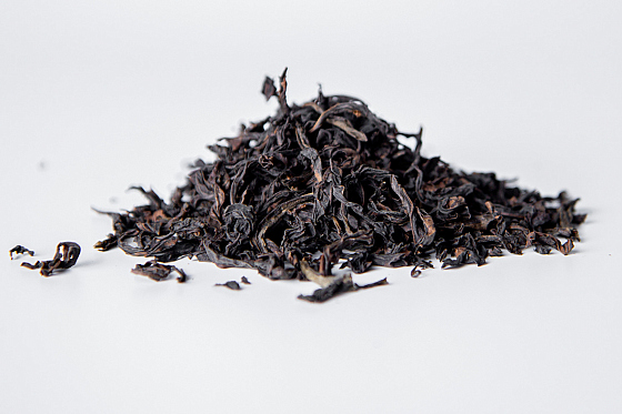 Фотограф Жасмина Германова, фотография добавлена 25.10.2025