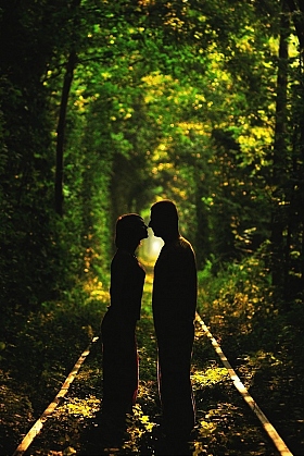 Тоннель любви | Фотограф Андрей Храпуненко | foto.by фото.бай