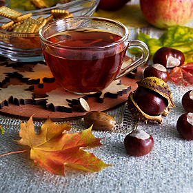 *** | foto.by фото.бай