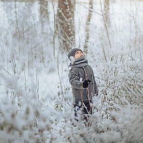 фотограф Екатерина Захаркова. Фотография "В снежном лесу"