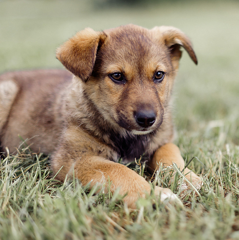 Фотограф Юлия Мурыгина, фотография добавлена 11.06.2021