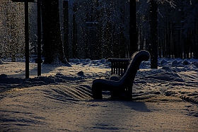 падающий снег. | Фотограф Александр Тарасевич | foto.by фото.бай