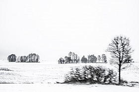 Рисунки зимы | Фотограф Владислав Волков | foto.by фото.бай